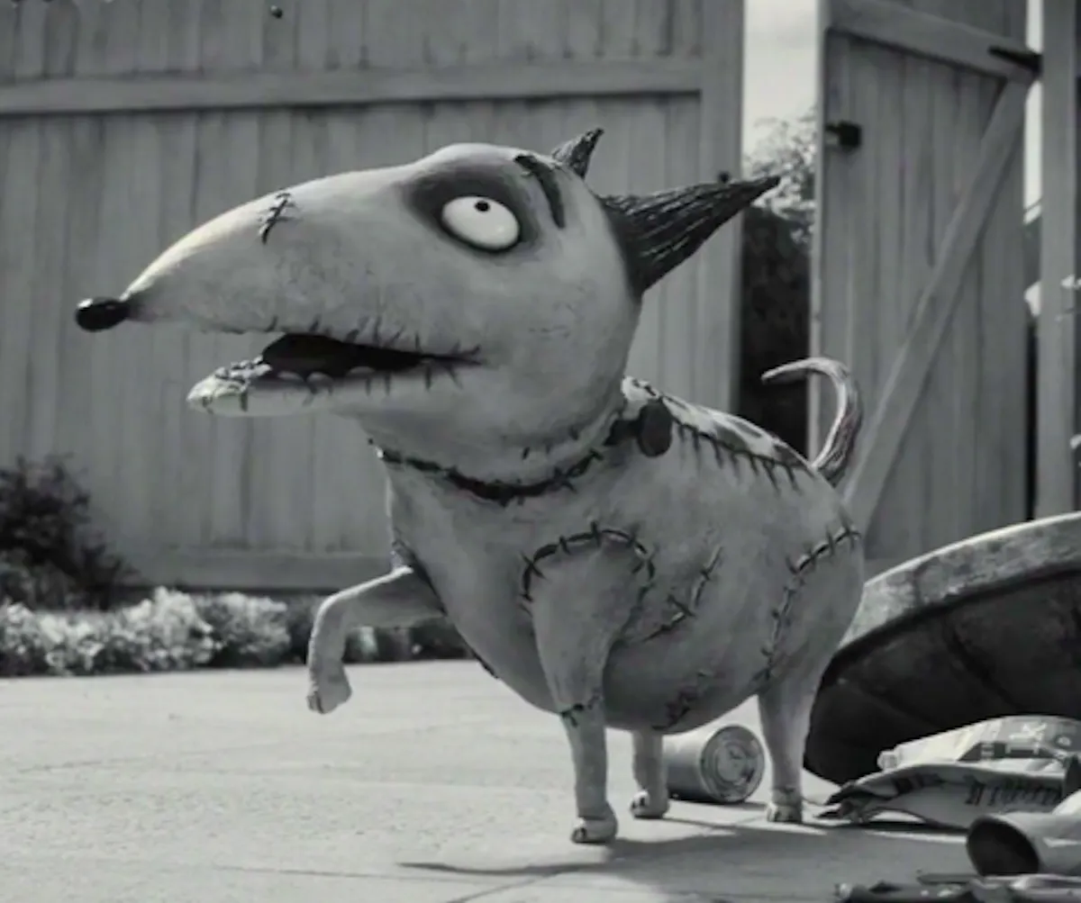 Sparky, a reanimated, badly-stitched-up stop motion dog